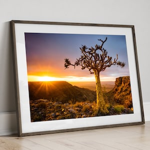 Landskapsfotografi i Namibia, digitalt foto av kogerträd, utskrivbar väggkonst av Fish River Canyon, Afrika direktnedladdning