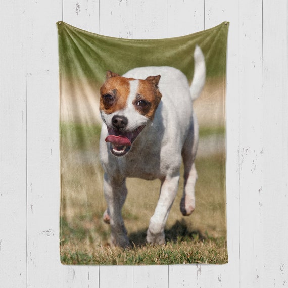 Jack russell blanket sale