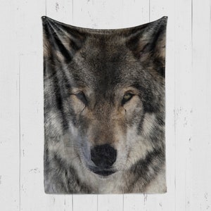 May include: A close-up of a grey wolf's face. The wolf is looking directly at the camera with one eye closed. The wolf's fur is soft and fluffy.