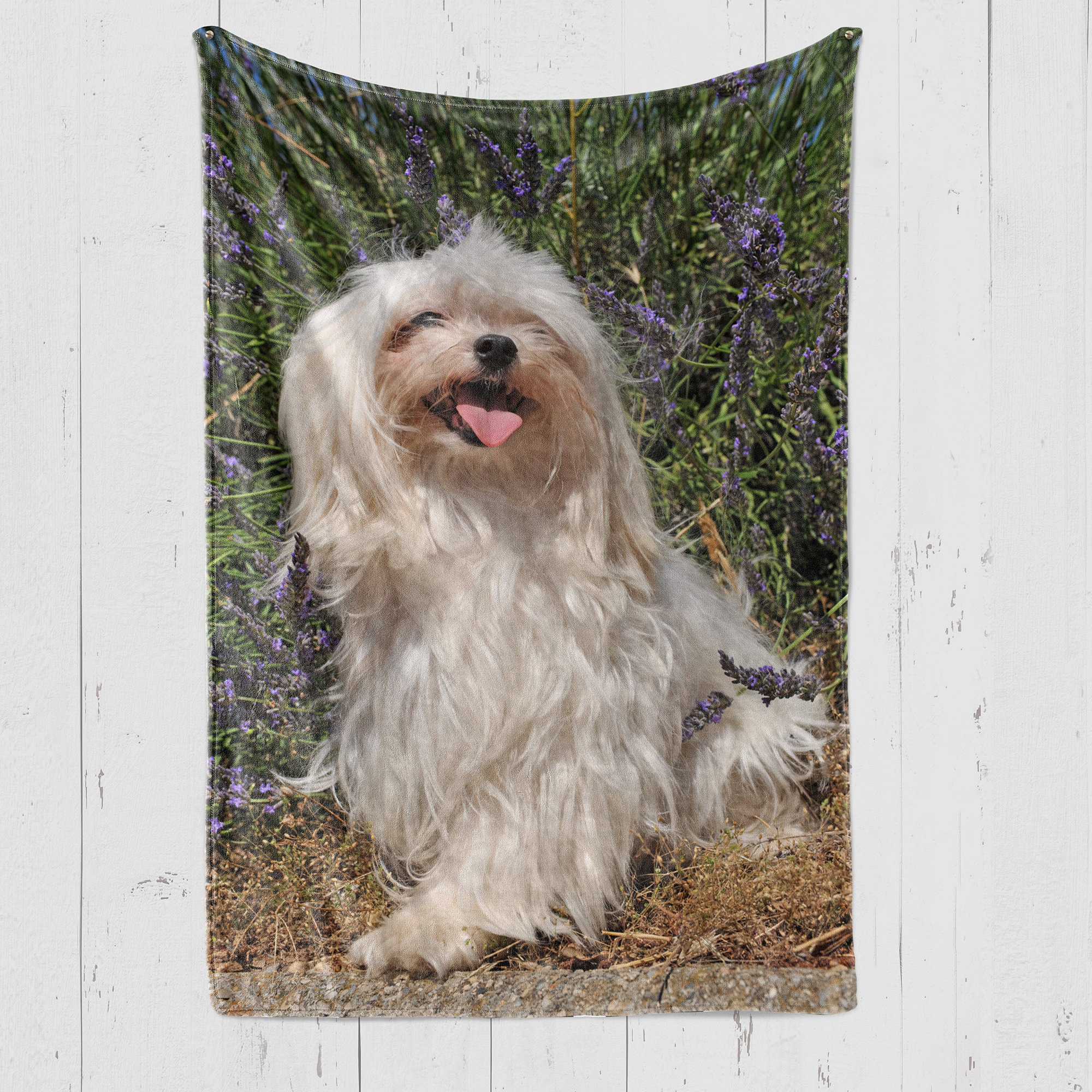 Puppy Dog Maltese Pattern Print Blanket