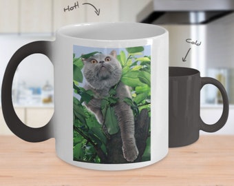British Shorthair Color Changing Mug, British Shorthair Color Changing Cup, British Shorthair Lover Gift, Gift Ideas