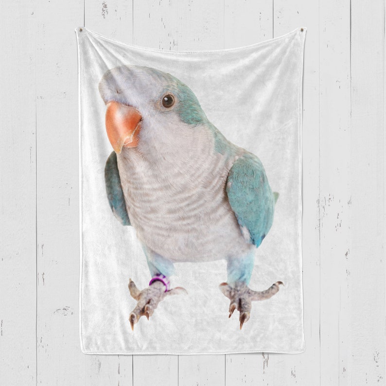 Monk Parakeet Blanket, Monk Parakeet Throw, Parakeet Lover Gift Etsy