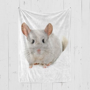 May include: A white chinchilla with large, pink ears sits on a white background. The chinchilla has a fluffy, soft coat and black eyes.
