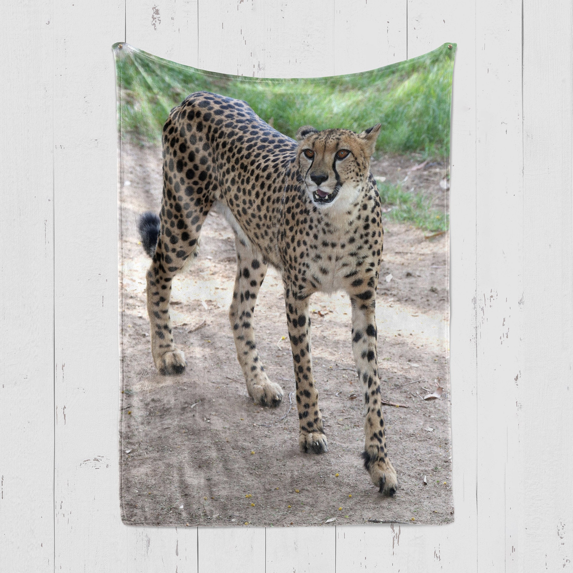 Cheetah Blanket 2 Cheetah Throw Cheetah Lover Gift Gift Etsy UK