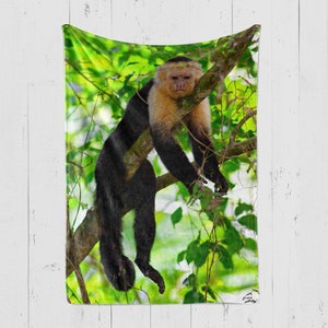 May include: A white-faced capuchin monkey with black fur hangs from a branch in a lush green jungle setting.