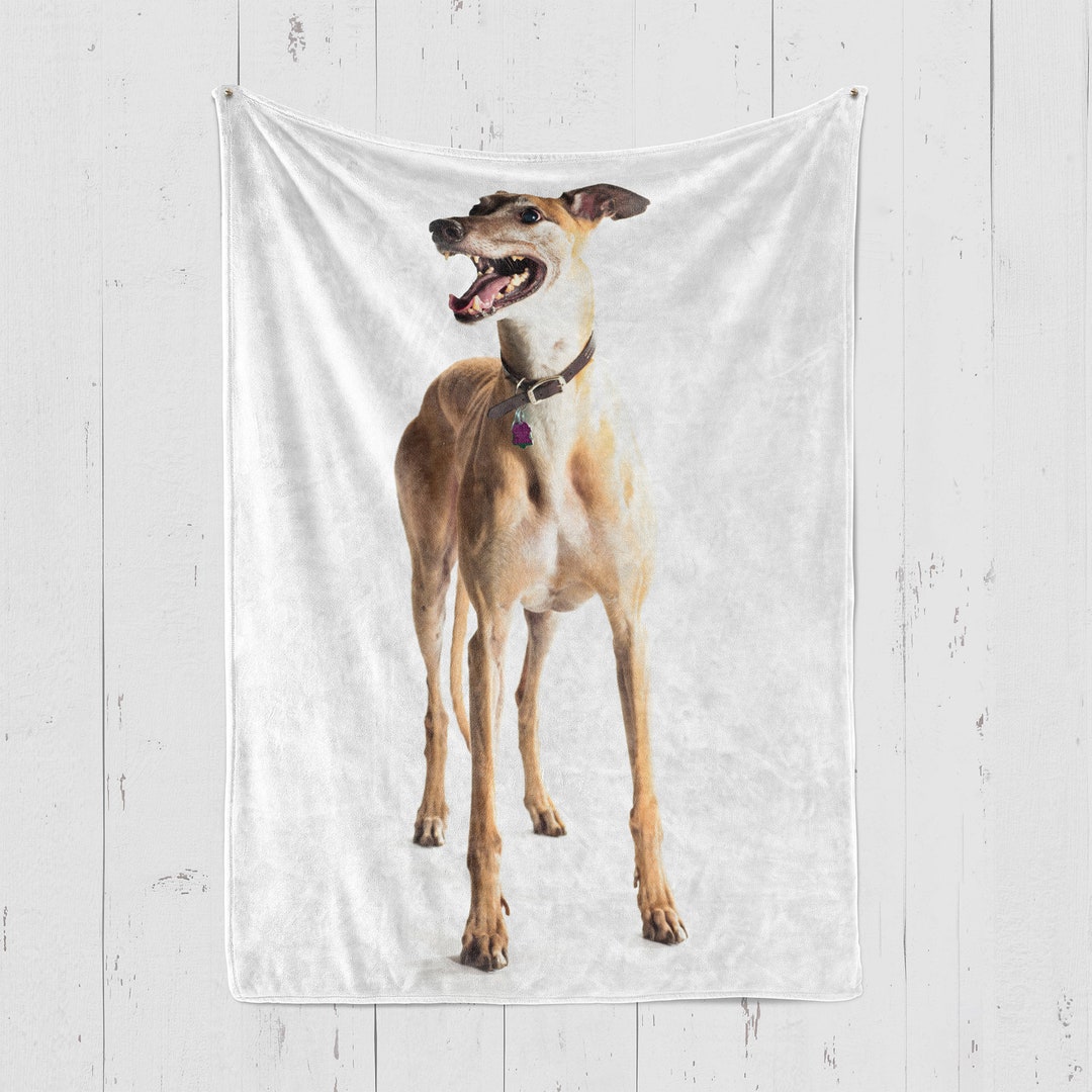 Greyhound blanket hotsell