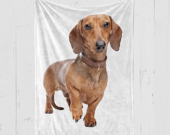Dachshund Blanket, Dachshund Throw, Dachshund Lover Gift, Gifts