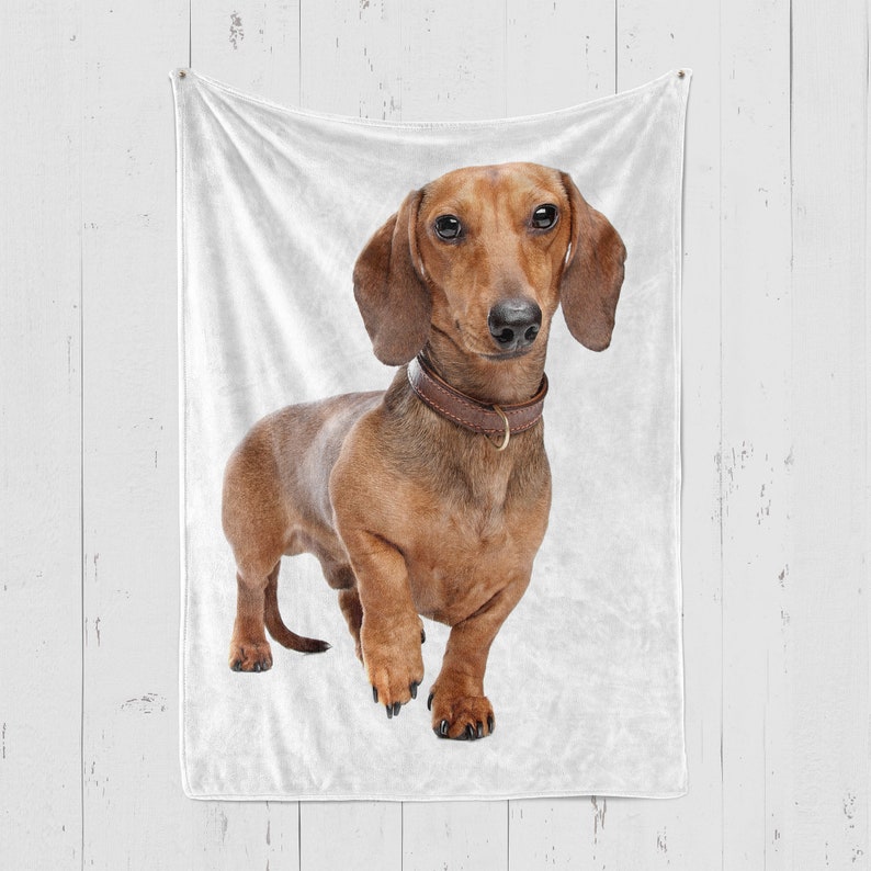 Dachshund Blanket, Dachshund Throw, Dachshund Lover Gift, Gifts Etsy
