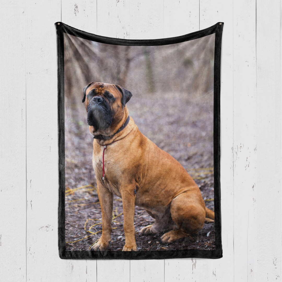 English Mastiff Blanket English Mastiff Throw English Etsy