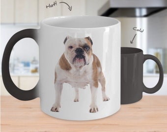 English Bulldog Color Changing Mug, English Bulldog Color Changing