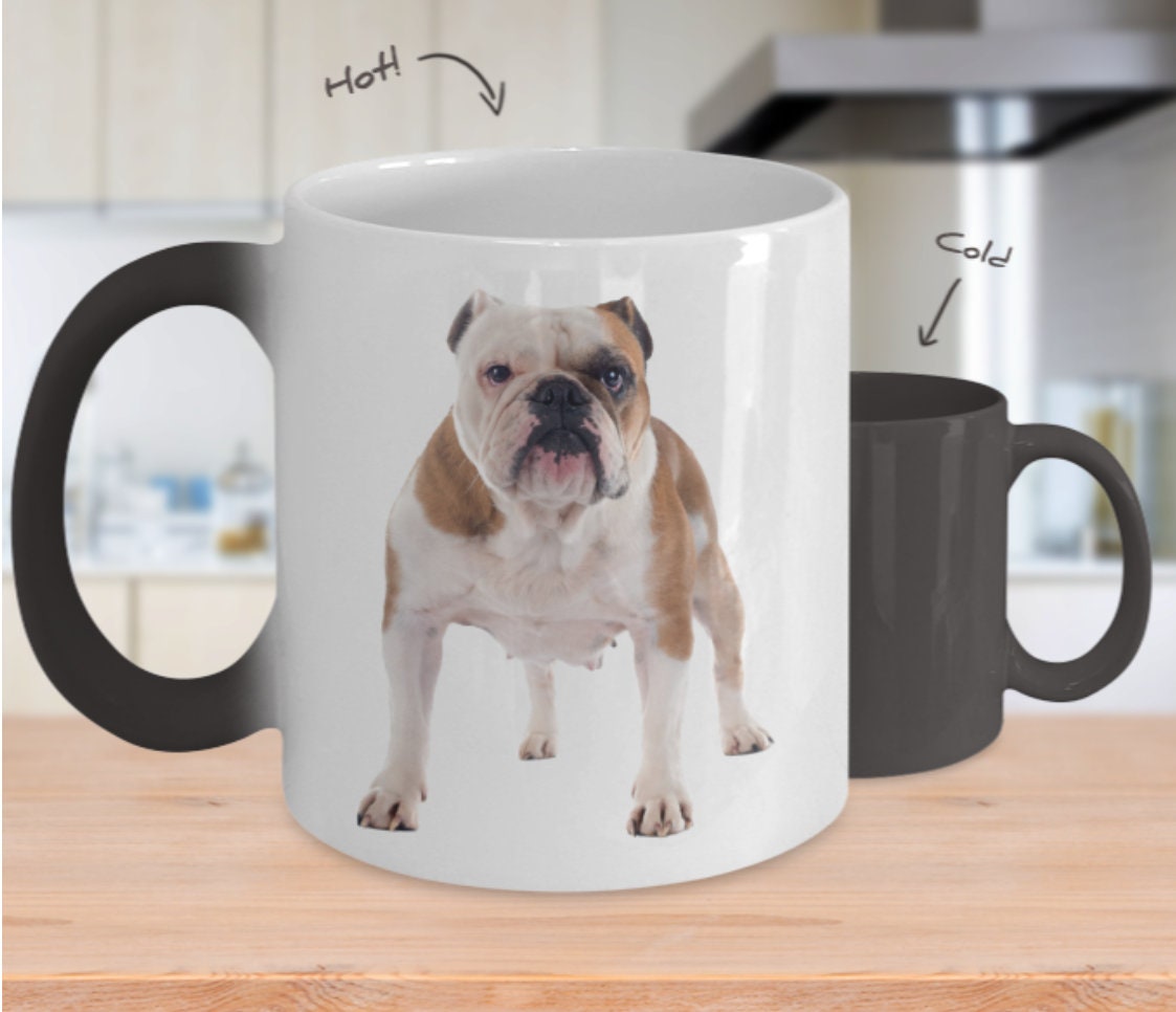 English Bulldog Color Changing Mug, English Bulldog Color Changing