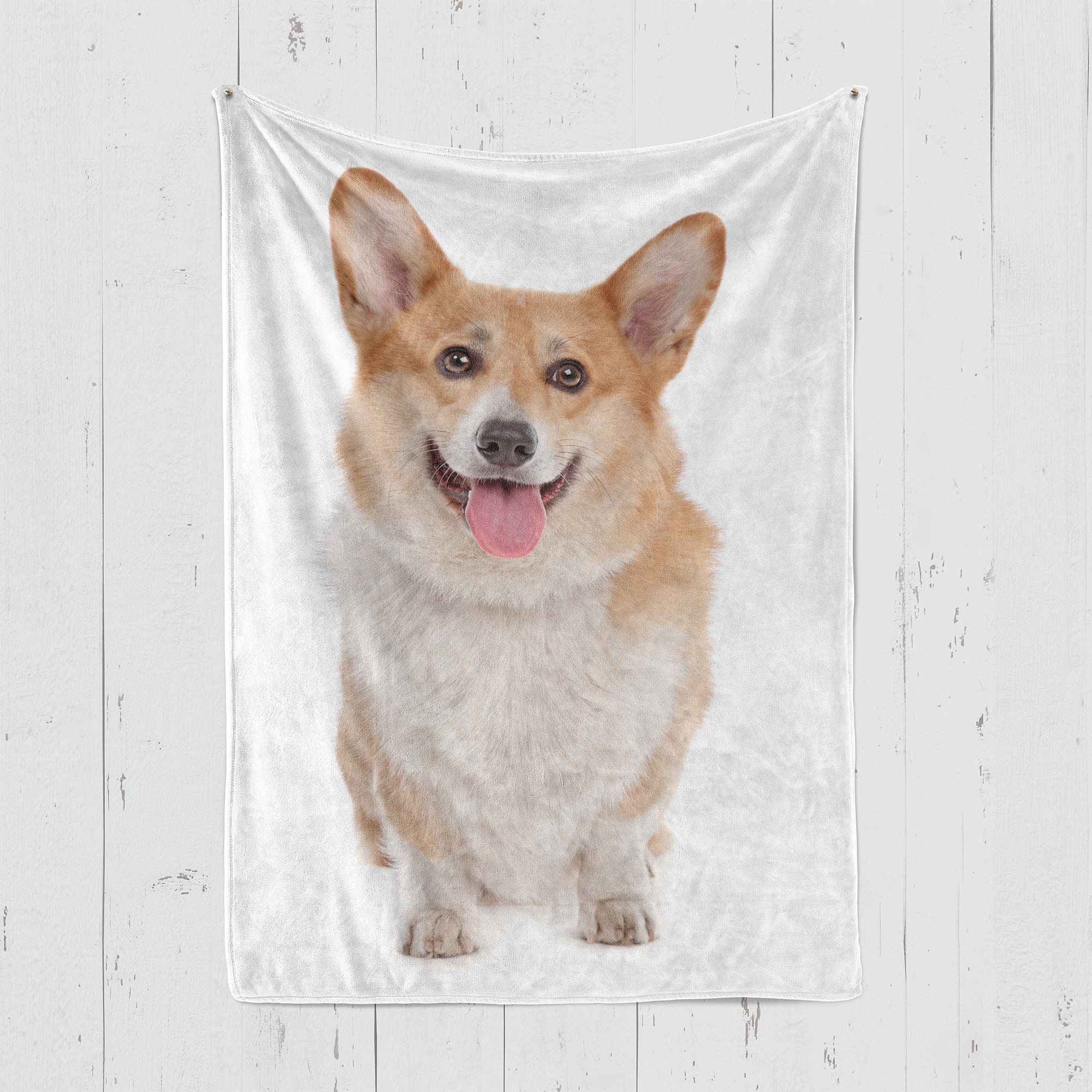 melissa and doug corgi