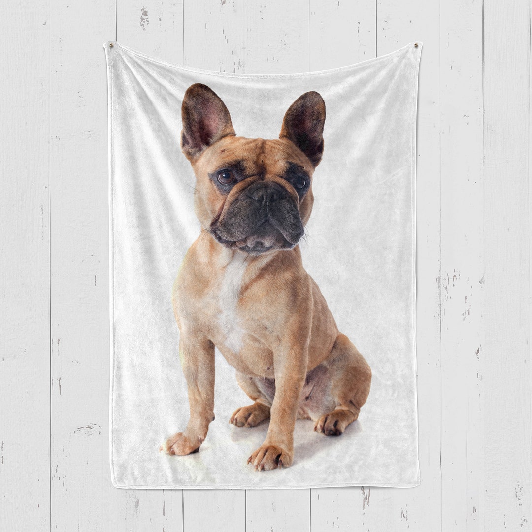 LEVLO Kosmetiktasche Mit Französischer Bulldogge Design, 23x17 Cm, Baumwoll-Leinen, Wasserabweisend