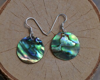 Paua shell studs dainty paua shell earrings abalone jewelry