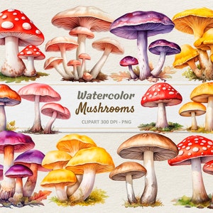 Watercolor Mushrooms Clipart - Digital Illustration - Fungus Nature Toadstool PNG - Commercial Use