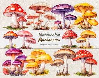 Watercolor Mushrooms Clipart - Digital Illustration - Fungus Nature Toadstool PNG - Commercial Use