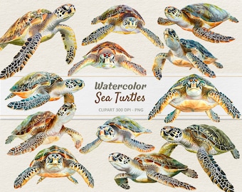 Watercolor Sea Turtle Clipart - Digital Illustration Marine Turtles - Turtle PNG - Commercial Use