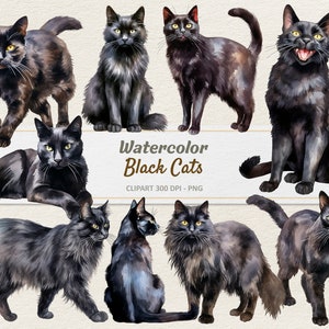 Aquarell schwarze Katzen Clipart - digitale Illustration - schwarzes Kätzchen Halloween PNG - kommerzielle Nutzung
