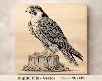 Valk vectorillustratie SVG – haviksvogel lijntekeningen png – lasergravure clipart – digitale download