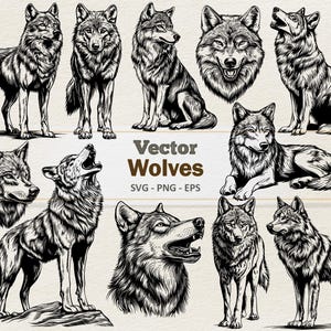 Vektor Wolf Clipart - Linie Kunst-Digitale Illustration Wölfe - Wolf SVG PNG EPS - Kommerzielle Nutzung