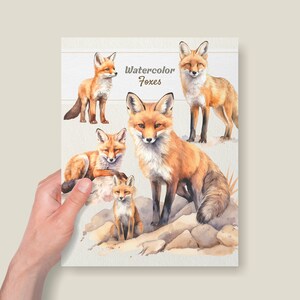 Puede incluir: Pintura acuarela de cinco zorros rojos en diferentes poses. El t&iacute;tulo "Watercolor Foxes" est&aacute; escrito en cursiva en la parte superior de la imagen.