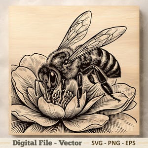 May include: A black and white line art illustration of a honeybee resting on a flower, printed on a light wood grain square surface. The text at the bottom reads Digital File - Vector SVG - PNG - EPS, indicating a downloadable graphic design.