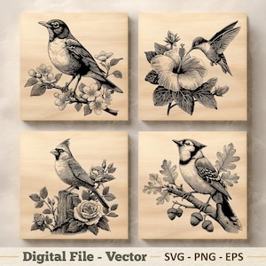 Puede incluir: Cuatro paneles cuadrados de madera con ilustraciones detalladas en blanco y negro de aves y elementos florales. Los paneles presentan un petirrojo, un colibrí, un cardenal y un arrendajo azul, cada uno posado con flores o follaje. La parte inferior de la imagen tiene el texto "Digital File - Vector SVG - PNG - EPS".