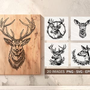 Vector Deer Portraits Clipart - Line Art Digital Illustration - Buck ...