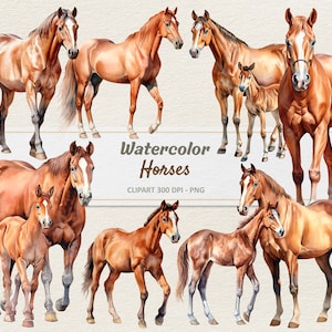 Aquarell Pferde Clipart - Digitale Illustration - Pferd und Fohlen PNG - kommerzielle Nutzung