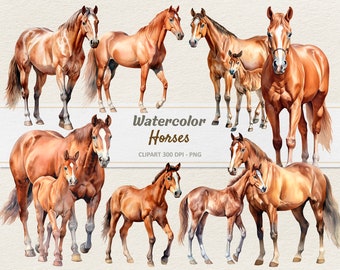 Acuarela Caballos Clipart - Ilustración Digital - Caballo y potro PNG - Uso comercial