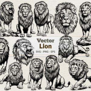 Clipart de leão vetorial - Ilustração digital de arte de linha - Leão SVG PNG EPS - Uso comercial