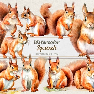 Aquarelle écureuils Clipart - Illustration numérique - écureuil PNG - usage Commercial