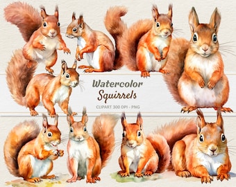 Watercolor Squirrels Clipart - Digital Illustration - Squirrel PNG - Commercial Use