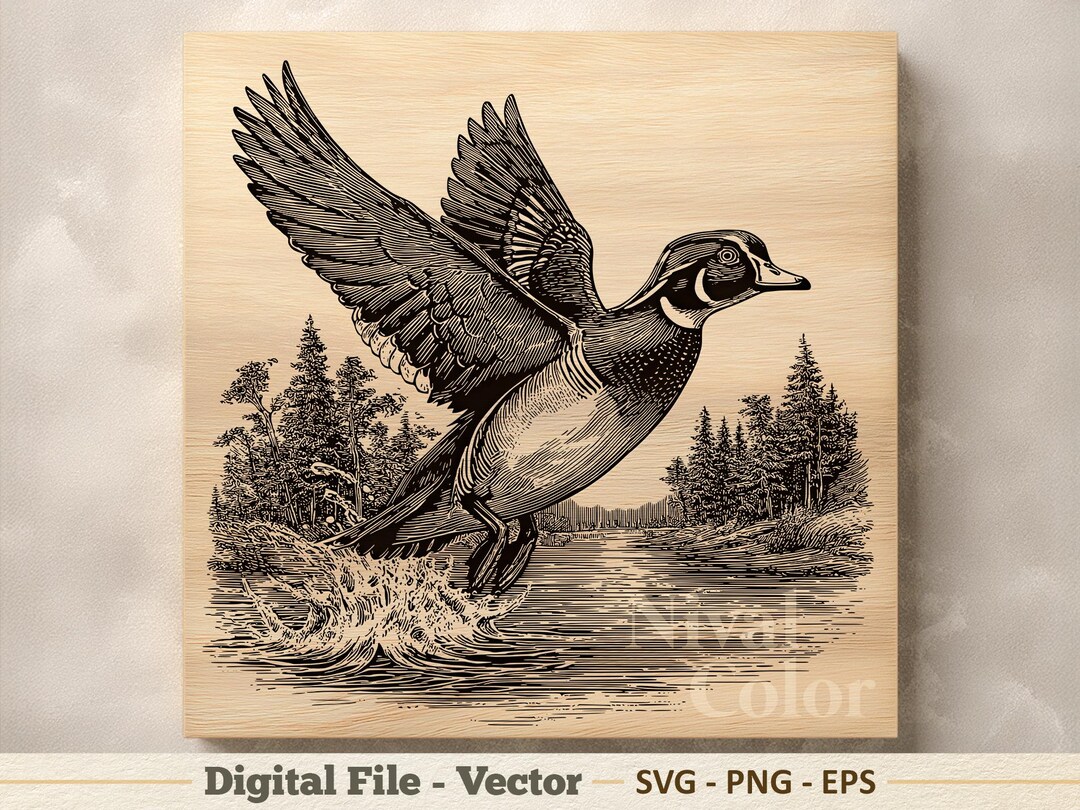 Wood Duck Vector Illustration SVG – Forest Line Art PNG - Laser ...