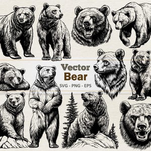 Clipart vectoriel ours - Illustration numérique de dessin au trait - ours brun SVG PNG EPS - usage commercial