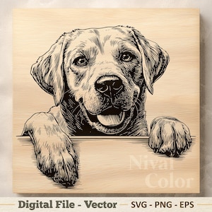 May include: A square wooden plaque featuring a black line art illustration of a Labrador dog with its front paws resting on a ledge. The text Nival Color is visible in the lower right corner, and the text Digital File - Vector SVG - PNG - EPS is below.