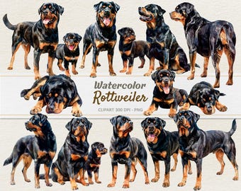 Aquarell Rottweiler Clipart - Digitale Illustration Rottie Hund - Welpe PNG - Kommerzielle Nutzung