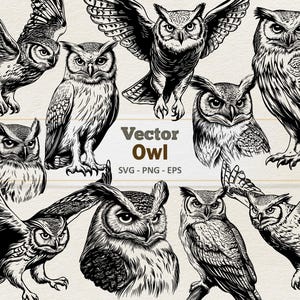 Clipart hibou de vecteur - Illustration numérique de dessin au trait - hibou des marais SVG PNG EPS - usage commercial