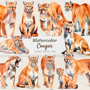 Watercolor Cougar Clipart - Digital Illustration Puma - Mountain Lion PNG - Commercial Use