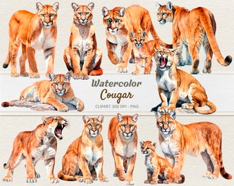 Acuarela Cougar Clipart - Ilustración digital Puma - Mountain Lion PNG - Uso comercial