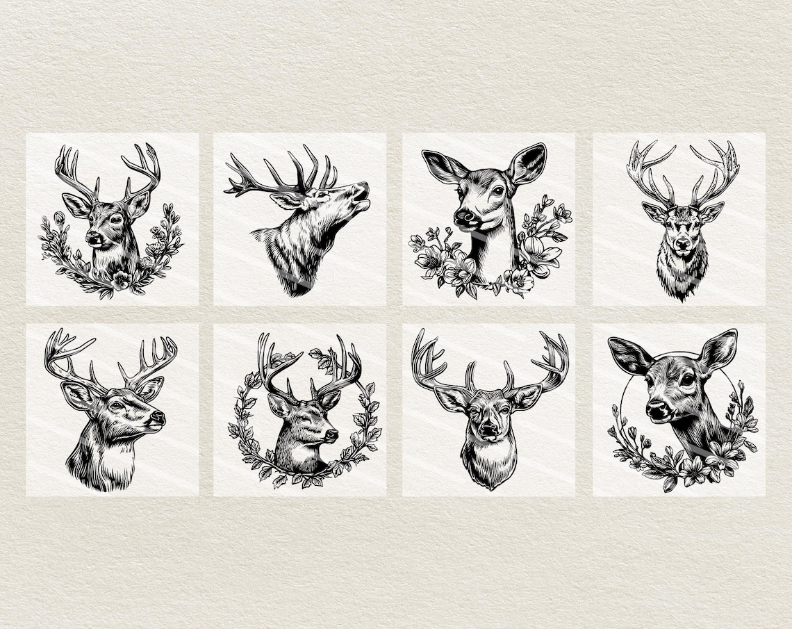 Vector Deer Portraits Clipart - Line Art Digital Illustration - Buck ...