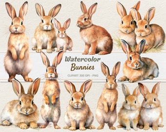 Watercolor Bunnies Clipart - Digital Illustration Bunny - Rabbit PNG - Commercial Use