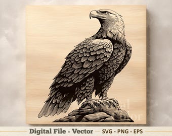 Ilustração vetorial de águia em SVG – Arte linear de águia-careca em PNG – Clipart de gravura de vida selvagem – Download digital