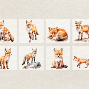 Puede incluir: Un conjunto de ocho ilustraciones de acuarela de zorros rojos en varias poses. Los zorros se representan en un estilo realista con pelaje detallado y expresiones faciales. Las ilustraciones son perfectas para agregar un toque de naturaleza a cualquier proyecto.