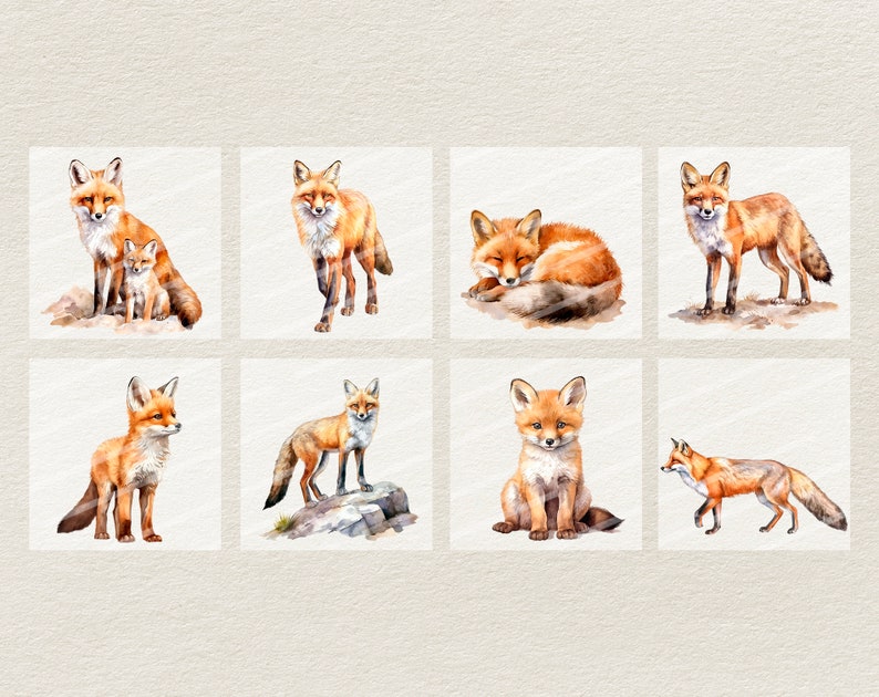 Puede incluir: Un conjunto de ocho ilustraciones de acuarela de zorros rojos en varias poses. Los zorros se representan en un estilo realista con pelaje detallado y expresiones faciales. Las ilustraciones son perfectas para agregar un toque de naturaleza a cualquier proyecto.