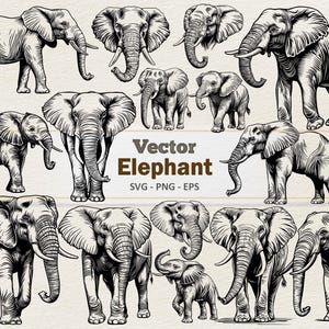 Clipart di elefante vettoriale - Illustrazione digitale di arte lineare - Elefante SVG PNG EPS - Uso commerciale
