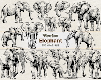 Vector Elephant Clipart - Line Art Digital Illustration - Elephant SVG PNG EPS - Commercial Use