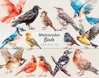 May include: Watercolour clipart of various birds, including a blue jay, cardinal, robin, crow, and sparrow. The birds are painted in a realistic style with vibrant colours and intricate details. The clipart is perfect for adding a touch of nature to your designs.