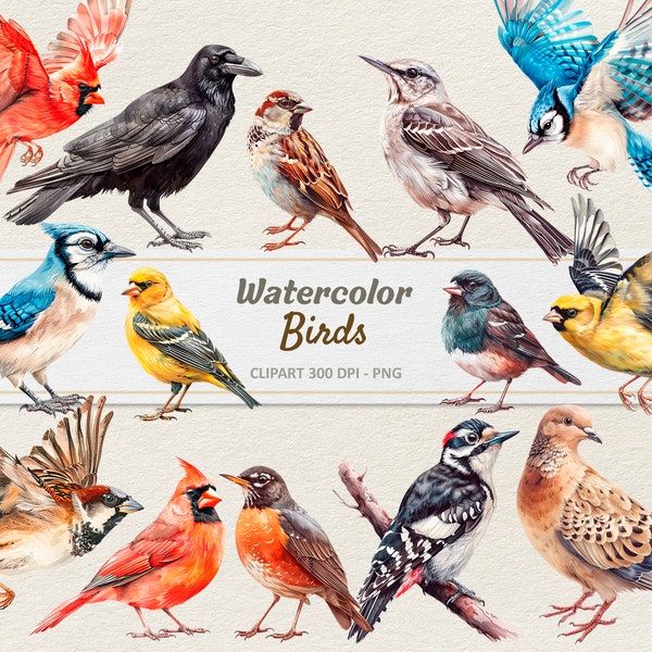 Watercolor Bird Clipart - Digital Illustration Spring - Woodland Birds PNG - Commercial Use