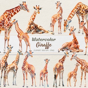 Aquarell Giraffe Clipart - Digitale Illustration Familie Giraffen - Zoo PNG - Kommerzielle Nutzung